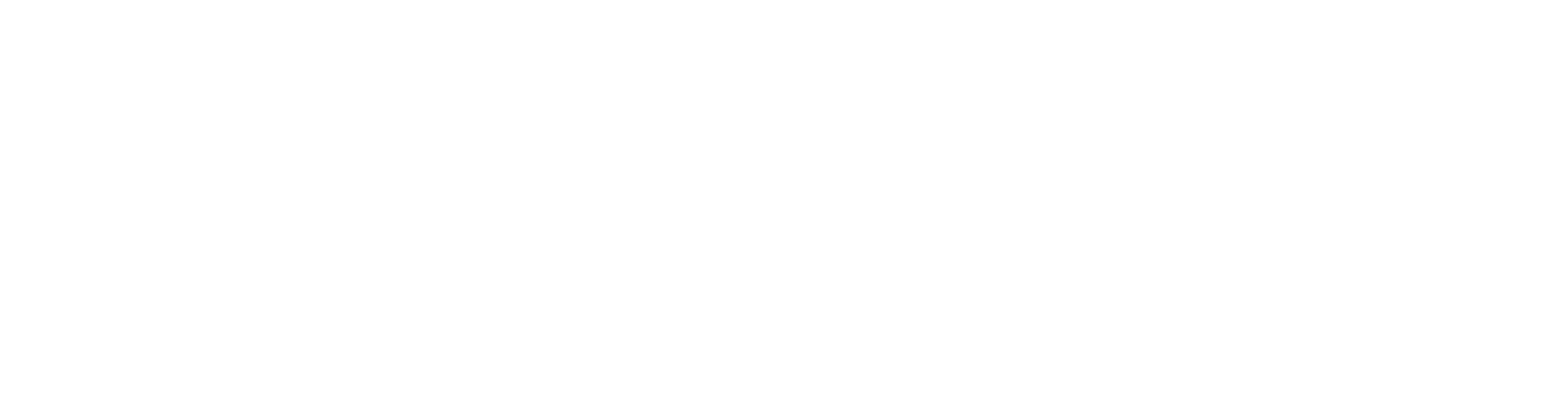 Talk Fast Social Logo